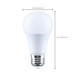 Light Bulb (S15180)