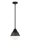 Innovations - 288-1S-BK-HFS-61-BK-LED - LED Mini Pendant - Nouveau 2 - Matte Black