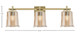 Franklin Three Light Bath Bar (1213-NAB-5033)