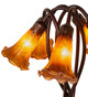 Amber Five Light Accent Lamp (14931)