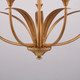 Fern Ridge Five Light Chandelier (H0324)