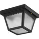 Progress Lighting - P5727-31 - One Light Outdoor Flush Mount - Ceiling Mount - Black