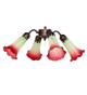 Seafoam/Cranberry Four Light Fan Light