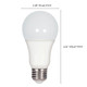 Light Bulb (S28789)