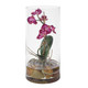Uttermost - 60279 - Orchid - Mariposa - Natural