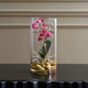 Mariposa Orchid (60279)