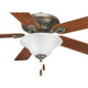 AirPro Signature 52" Ceiling Fan (P2521-20)