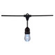 LED String Light (S8031)