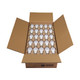 Light Bulb (S11413)
