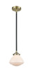 manufacturer_finish:Black Antique Brass|manufacturer_glass:Matte White Olean|light_output:245.00lm|color_temperature:2100K|cri:98