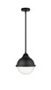 Innovations - 288-1S-BK-HFS-84-BK - One Light Mini Pendant - Nouveau 2 - Matte Black