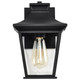 Jasper One Light Outdoor Wall Lantern (60-5747)