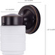 One Light Outdoor Mason Jar (60-6110)
