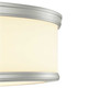 Bezel LED LED Flush Mount (P350087-009-30)