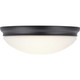LED Flush Mount LED Semi-Flush (P350131-020-30)