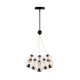 Arlo LED Chandelier (AC6848BK)