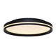 Luna LED Flush Mount (AC6872BK)
