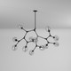 Organic 12 Light Chandelier (JA14022BK)
