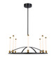Infiniti LED Chandelier (SC13088BB)