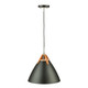 Tote One Light Pendant (SC13320BK)