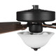 manufacturer_finish:Architectural Bronze/Medium CherryClassic Walnut
