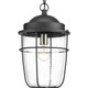 Progress Lighting - P550025-031 - One Light Hanging Lantern - Holcombe - Black