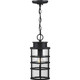 Port Royal One Light Hanging Lantern (P550061-031)