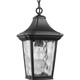 Marquette One Light Hanging Lantern (P550062-031)