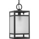 Progress Lighting - P550135-31M - One Light Outdoor Hanging Lantern - Parrish - Matte Black