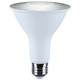 Light Bulb (S11107)