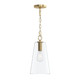 Jheni One Light Pendant (P500511-191)