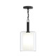 Mack One Light Pendant (P500515-31M)