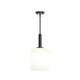 Reines One Light Pendant (P500516-31M)