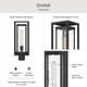 Shaw One Light Outdoor Post Mount (P540115-031)