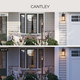 Cantley One Light Outdoor Wall Mount (P560406-020)