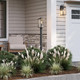 Cantley One Light Outdoor Wall Mount (P560406-31M)