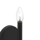 Reines One Light Wall Sconce (P710153-31M)