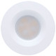 LED Remote Driver Downlight (S11670)