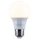 Light Bulb (S11771R1)