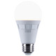 Light Bulb (S11777R1)