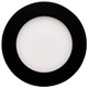 LED Downlight (S11874R1)