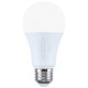 Light Bulb (S12147)