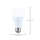 Light Bulb (S12147)