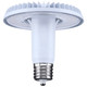 Light Bulb (S13149)