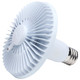 Light Bulb (S13149)