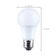 Light Bulb (S14357)