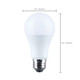 Light Bulb (S14374)