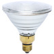 Light Bulb (S4799)