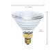 Light Bulb (S4799)