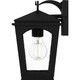 Huck One Light Outdoor Wall Lantern